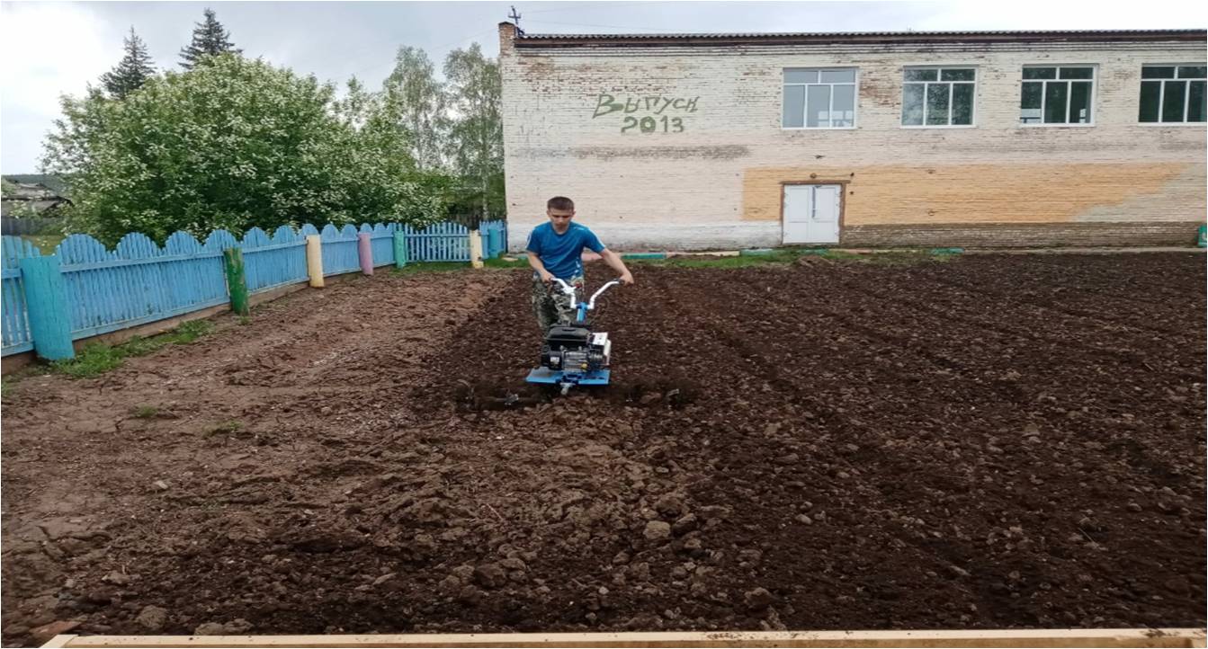 Работа на пришкольном участке.